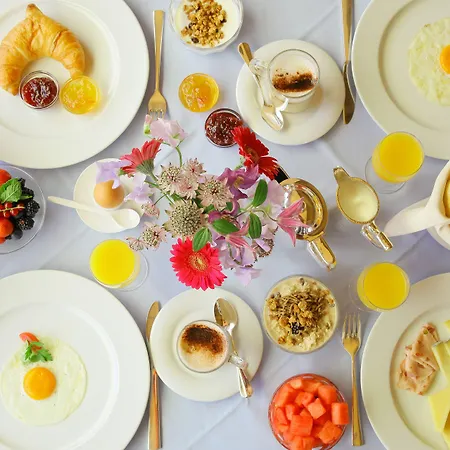 斯特凡尼酒店 4*