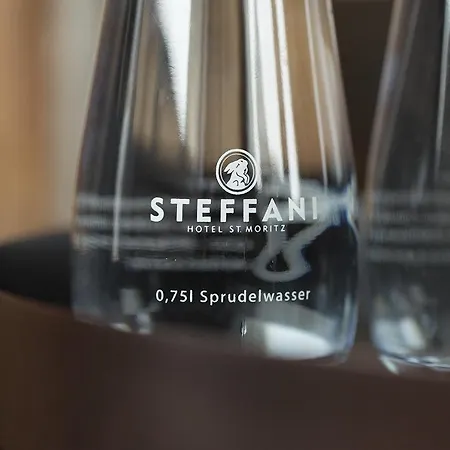 酒店 斯特凡尼酒店 圣莫里茨